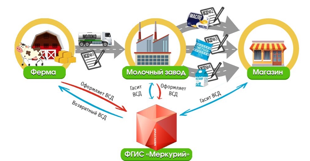 Фгис меркурий презентация